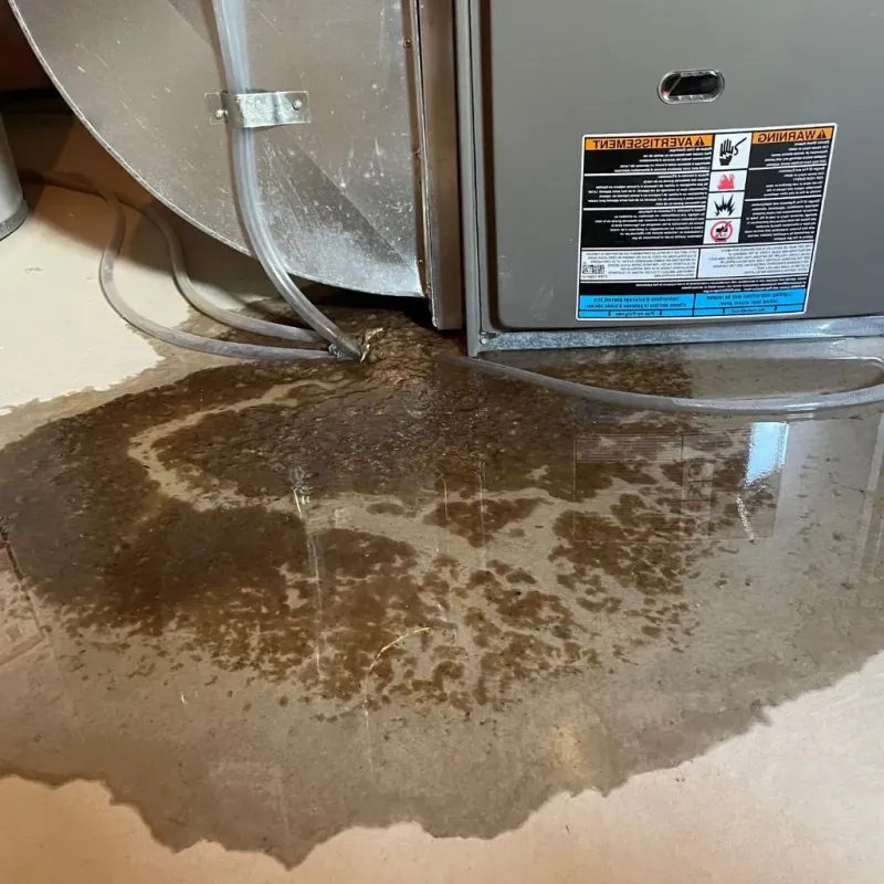 Pipe Burst and Leak Restoration in City of Galax, VA