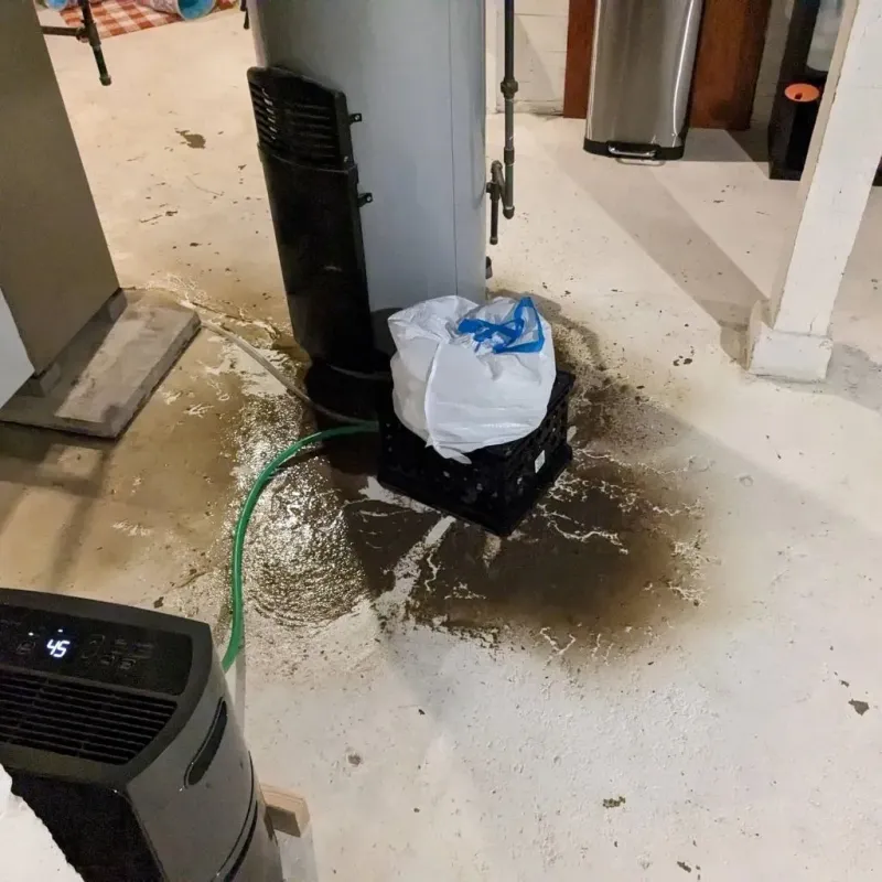 Sewage Backup Cleanup Service in City of Galax, VA